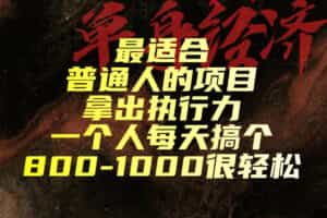 最适合普通人的项目，拿出执行力一个人每天搞个800-1k很轻松【揭秘】
