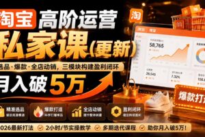 （19726期）淘宝高阶运营私家课（更新26年4月18）：选品、爆款、全店动销，三模块构建盈利闭环，月入破5万
