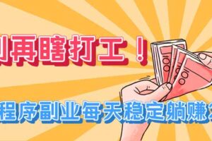 （19736期）别再瞎打工！小程序副业每天稳定躺赚200+