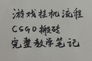 游戏挂G全流程笔记分享，CSGO游戏搬砖，小白看了当天学会见收益【揭秘】