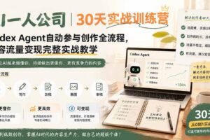 (19812期)AI一人公司|30天实战训练营;Codex Agent自动参与创作全流程,内容流量变现完整实战教学