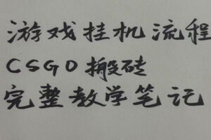 游戏挂机全流程笔记分享，CSGO游戏搬砖，小白看了当天学会见收益