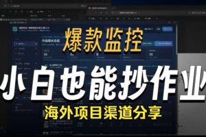 抖音爆款数据监控工具_海外网盘拉新渠道