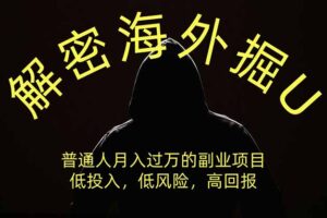 （19841期）解密海外掘U，普通人月入过万的副业项目，低投入、低风险高回报，没有之一
