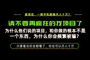为什么做项目的人大多都是炮灰？为什么只有卖项目才能稳？看完你也可以月入10W+【揭秘】