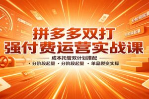 拼多多双打强付费运营实战课：成本托管双计划搭配，分阶段起量，单品裂变实操