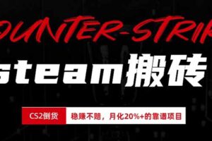 （19918期）steam搬砖，倒卖cs2饰品，达到月化20%+的收益，真正的靠谱可落地长期项目