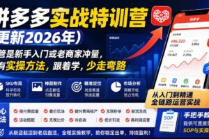 （20092期）拼多多实战特训营(更新26年0827)：不管是新手入门或老商家冲量，都有实操方法，跟着学，少走弯路