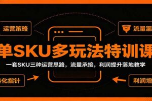 单SKU多玩法特训课：一套SKU三种运营思路，流量承接，利润提升落地教学