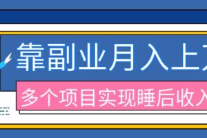 （20201期）2026年多个真实副业项目，带你搭被动收入管道（淘宝无人直播、海外TK拉新、最新最全代运营、公众号陪跑和去水印小…