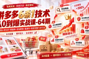 （20315期）拼多多6杀1技术从0到爆实战课-64期：机会商品+防比价+限量购+全站营销+直通车+裂变完整六步打法