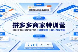 拼多多商家特训营：微付费强付费切车打法，爆款链接，SKU布局规划