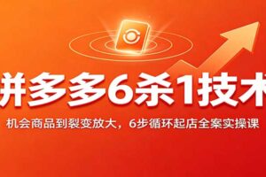 拼多多6杀1技术：机会商品到裂变放大，6步循环起店全案实操课