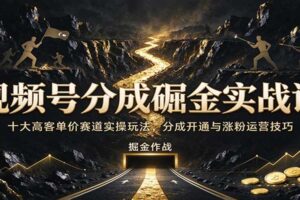 视频号分成掘金实战课：十大高客单价赛道实操玩法，分成开通与涨粉运营技巧