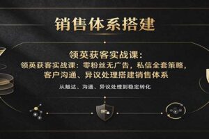 领英获客实战课：零粉丝无广告，私信全套策略，客户沟通、异议处理搭建销售体系