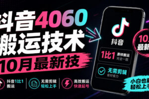 抖音4060搬运技术，10月最新技，抖音1比1搬运，无需剪辑