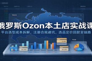 俄罗斯Ozon本土店实战课：平台选型成本拆解，注册合规避坑，选品定价回款全链路