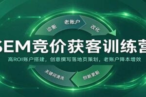 SEM竞价获客训练营：高ROI账户搭建，创意撰写落地页策划，老账户降本增效