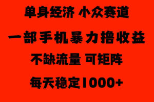 26年暴力单身经济，稳定日入500-1k，不缺流量，流量极大，冷门小众赛道，门槛低小白轻松上手【揭秘】