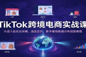 TikTok跨境电商实战课：小店入驻后台讲解，选品定价，新手破局数据分析回款教程